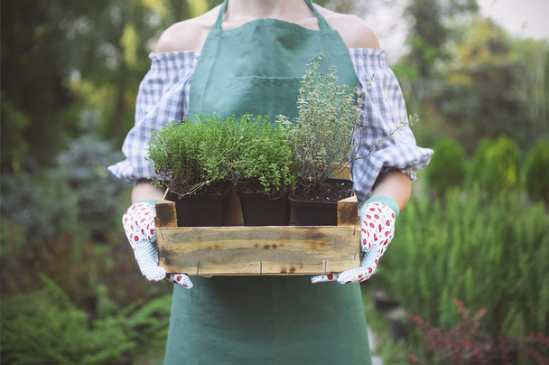 Женщина держит коробку с растениями в руках в центре сада
 - Фото, изображение