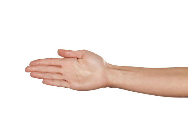 weibliche Handfläche - Foto, Bild