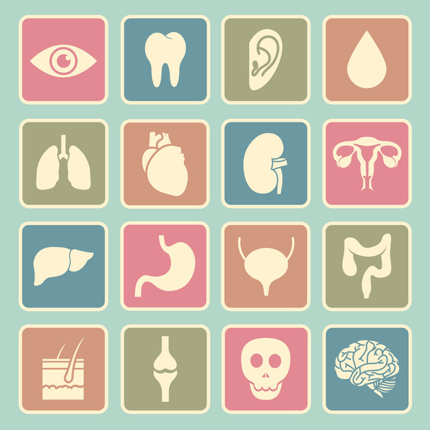 lidské orgány ikona - Vektor, obrázek