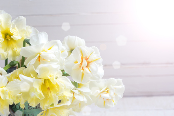 yellow narcissus flowers - Foto, afbeelding