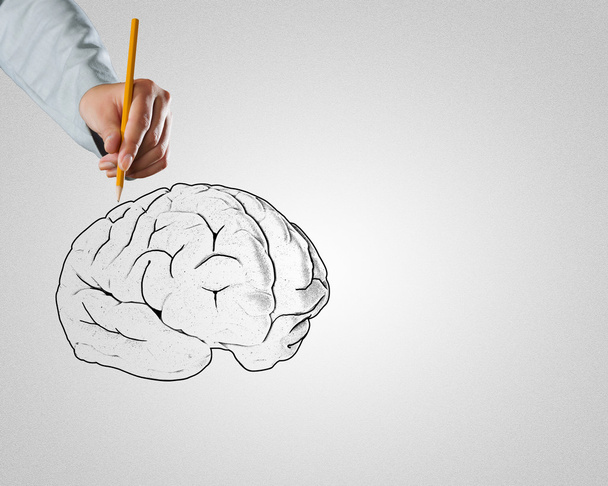 Businessman drawing brain - Photo, image