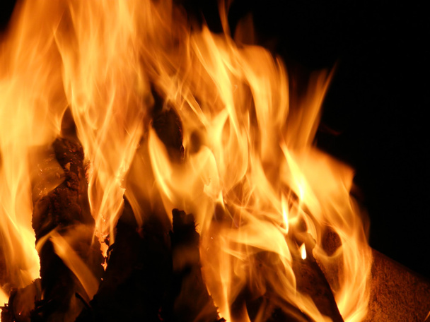 Flames or fire - Foto, immagini