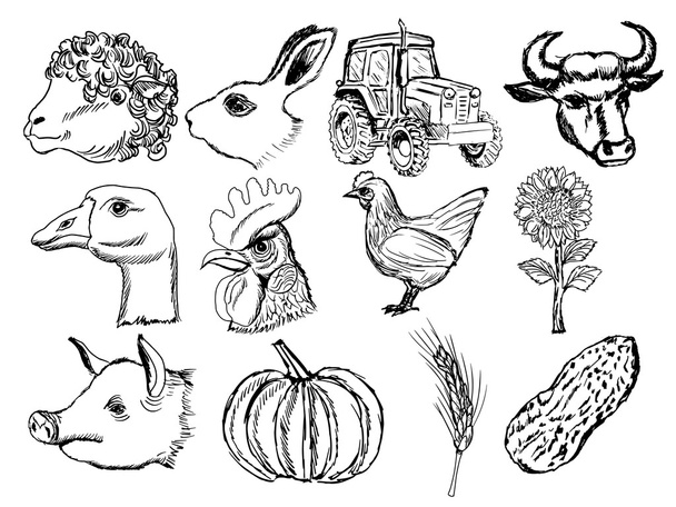agriculture - Vector, Image