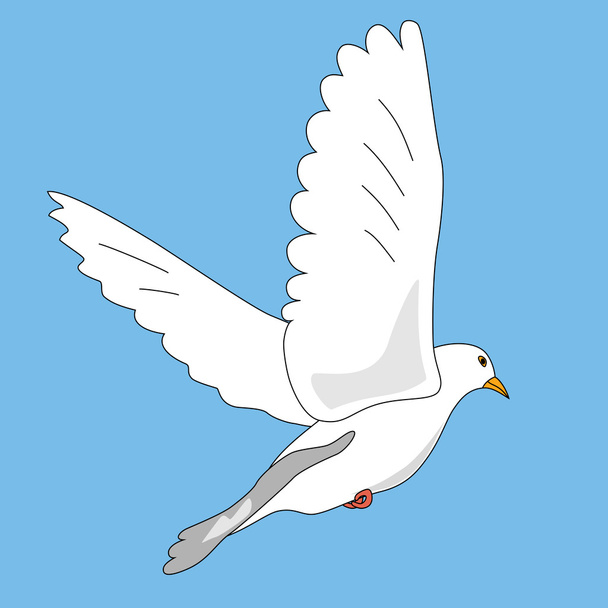 Beyaz Güvercin - Vektör, Görsel