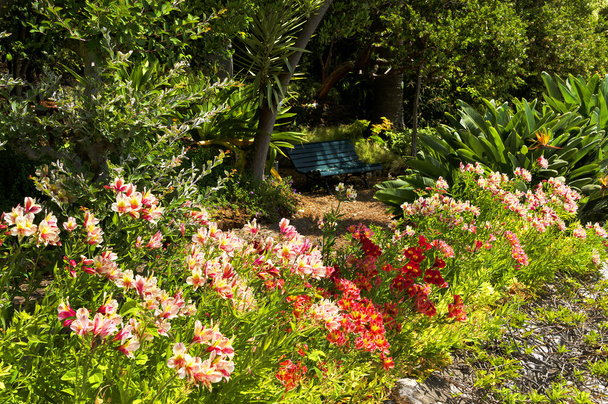 Jardim Botânico Tropical do Funchal
 - Foto, Imagem