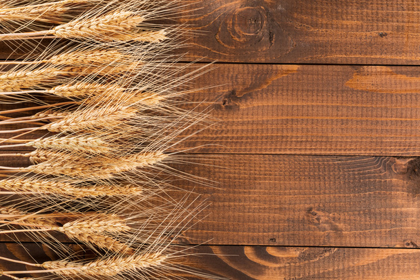 Dry Ears of wheat - Foto, afbeelding