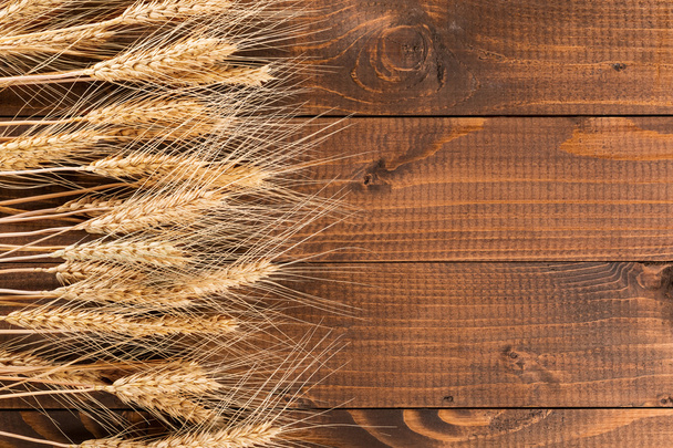 Dry Ears of wheat - Foto, Imagen
