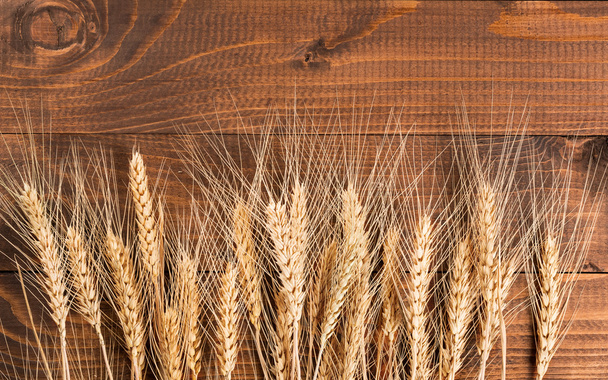 Dry Ears of wheat - Fotoğraf, Görsel