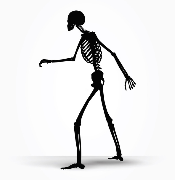 Skeleton silhouet in shuffle pose - Vector, afbeelding