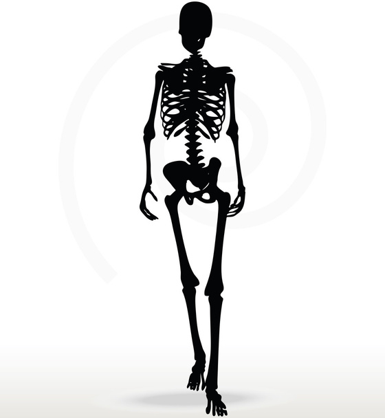 csontváz silhouette séta - Vektor, kép