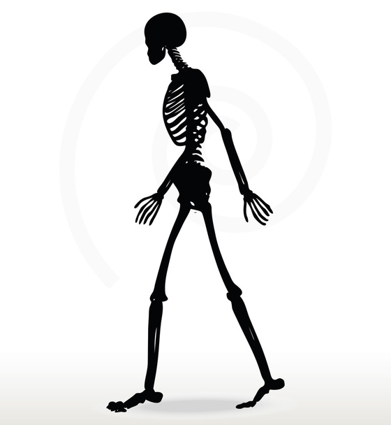 σκελετός σιλουέτα με τα πόδια - Διάνυσμα, εικόνα