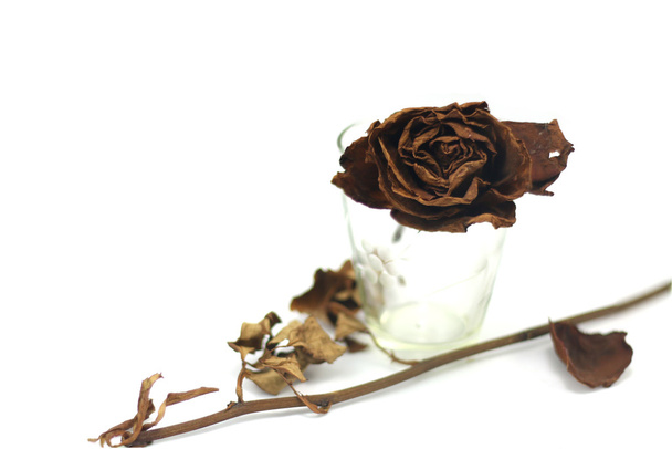rosas secas em fundo isolado
 - Foto, Imagem