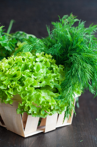 Vari verdi freschi con lattuga, menta, aneto e prezzemolo
 - Foto, immagini