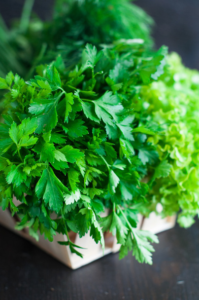 Různé čerstvé zelené s hlávkovým salátem, máta, kopr a petržel - Fotografie, Obrázek