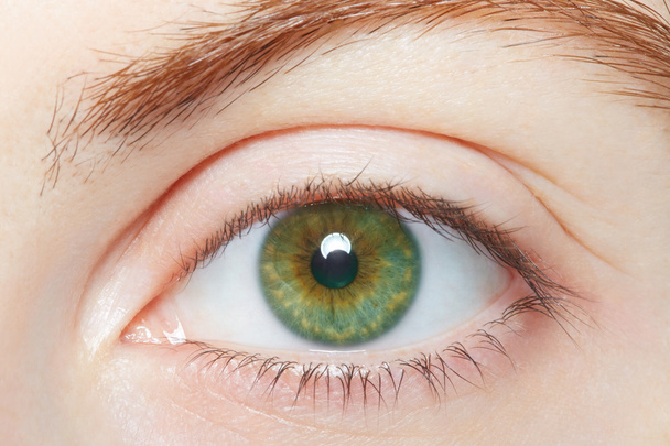 Human, green healthy eye macro - 写真・画像
