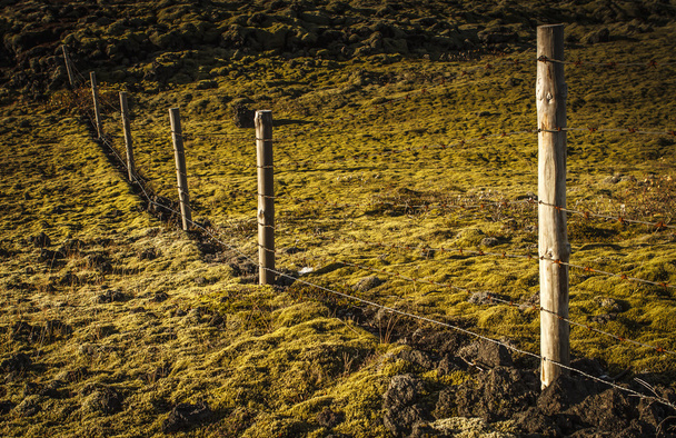 Isländische Landschaften - Foto, Bild