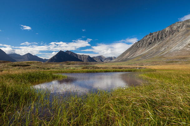 Serenity jezero v tundře na Aljašce - Fotografie, Obrázek
