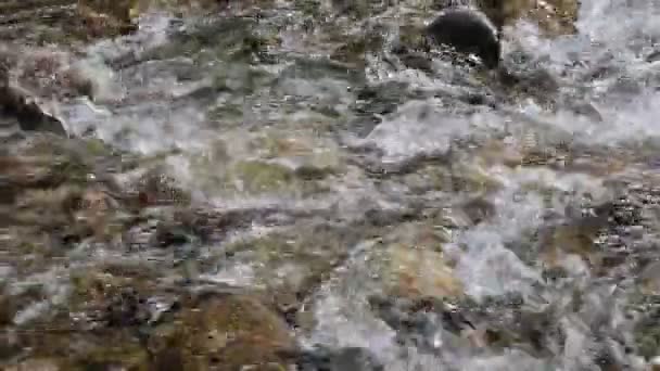 流れる水 - 映像、動画