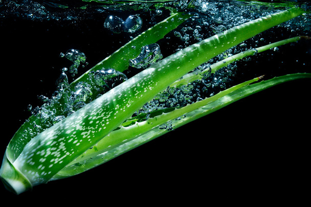 Aloe vera gota em água doce
 - Foto, Imagem