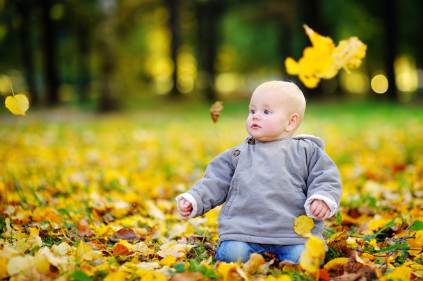 Happy little baby in the autumn park - Zdjęcie, obraz