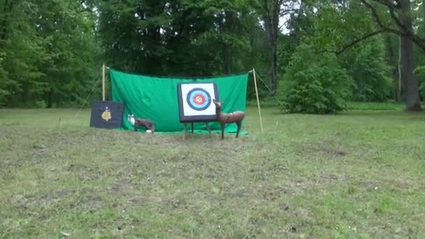 archery target and animals sculpture in park - Footage, Video