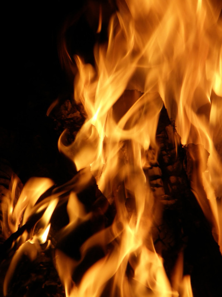 Flames or fire - Foto, immagini