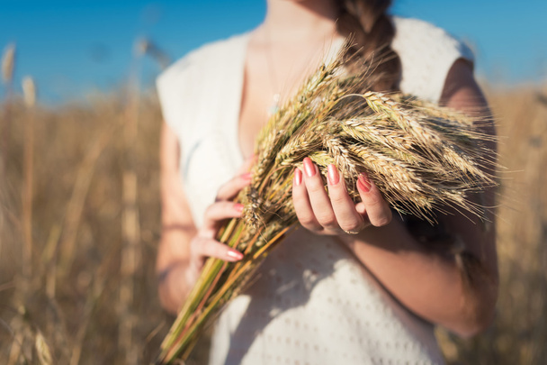 Девушки руки с ушами пшеницы
 - Фото, изображение