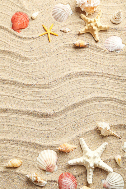 Sea shells on  sand - Фото, зображення