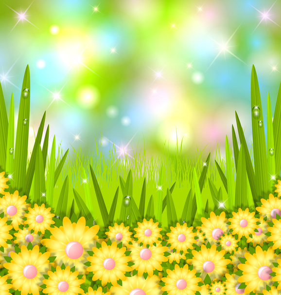 Spring grass - Vector, Image