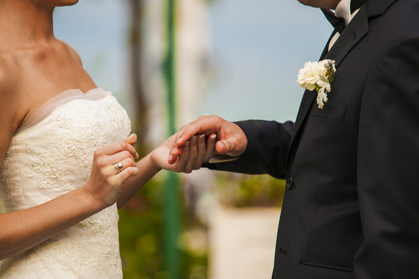 The newlyweds hands. - Photo, Image