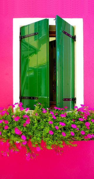 зелені дерева розмалювали вікна в Burano яскраво-рожевий колір - Фото, зображення