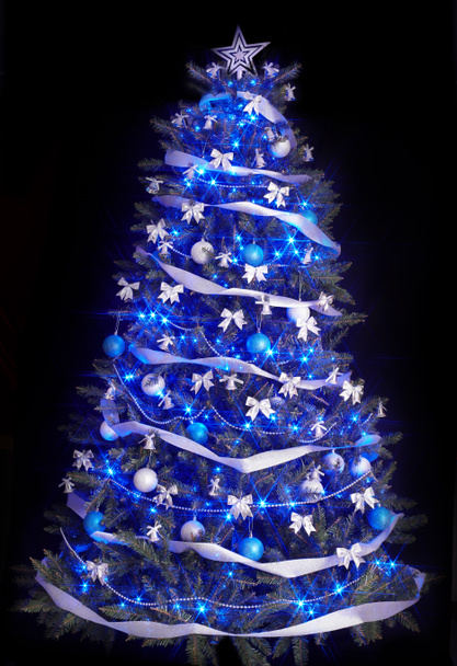 ışık ve mavi yıldız ile Noel ağacı. - Fotoğraf, Görsel