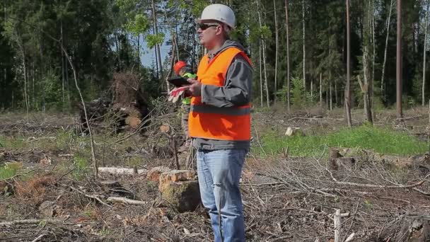 Funkcjonariusze lasów zniszczonych lasów - Materiał filmowy, wideo