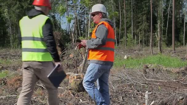 Forest officieren starten van de controle van selectievakje vernietigd bos - Video