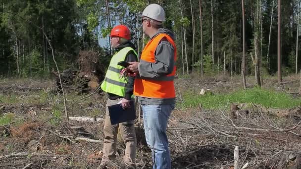 Les agents forestiers vérifient la forêt détruite
 - Séquence, vidéo