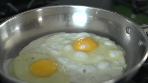 Tava üzerinde yumurta aşçılar - Video, Çekim
