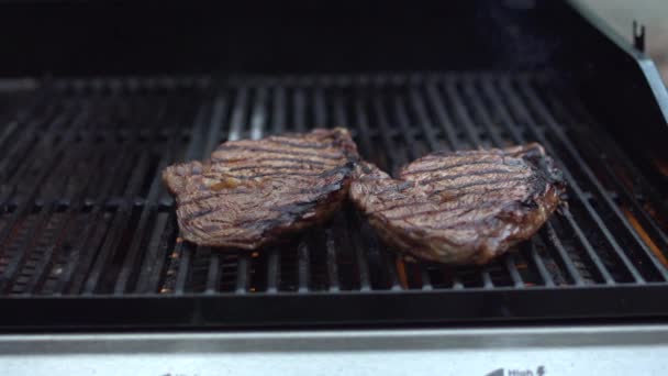 meat roast on grill - Footage, Video