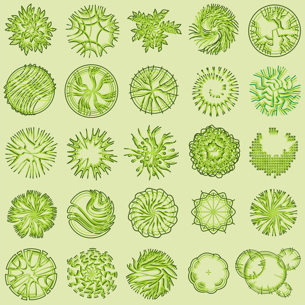 Trees and bush item top view for landscape design, vector icon. - Διάνυσμα, εικόνα