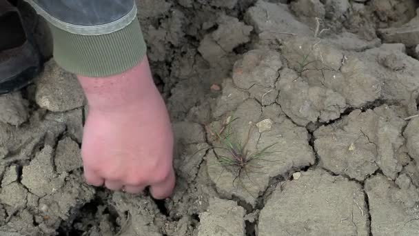 Kézi repedt száraz talaj közelében - Felvétel, videó