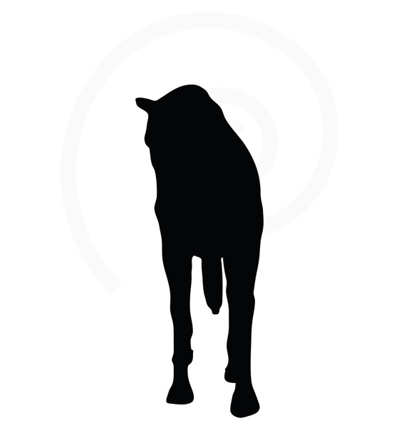 σιλουέτα αλόγου στο περπάτημα το κεφάλι κάτω - Διάνυσμα, εικόνα