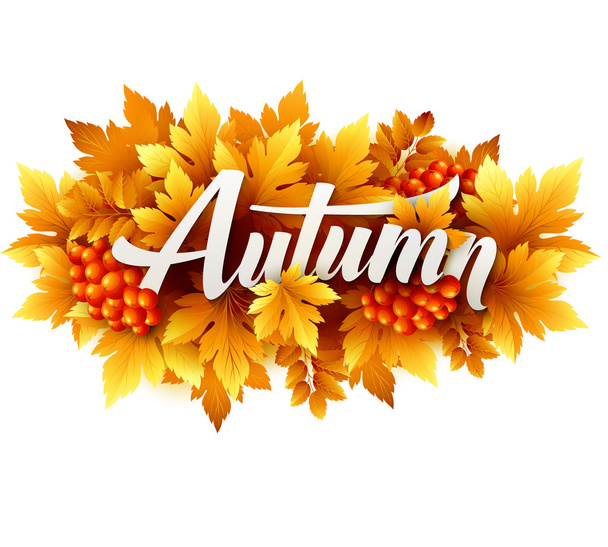 Typographie d'automne. Feuille d'automne. Illustration vectorielle
 - Vecteur, image