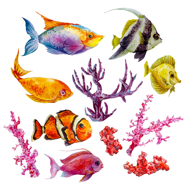 Marine set of Watercolor Vector Tropical Fish, Seaweed Coral Algae and Jellyfish - Vector, Image
