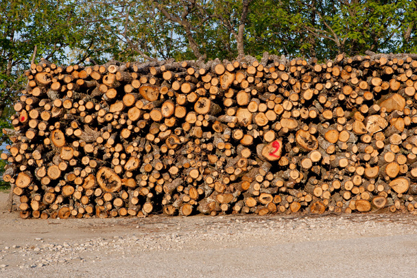 Склеєні колоди деревини вогню
 - Фото, зображення