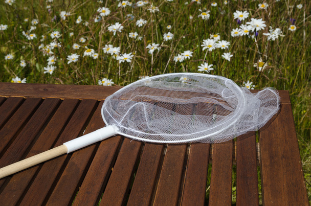 Pillangó nettó a kertben - Fotó, kép