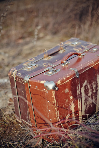 Два старинных чемодана стоят
 - Фото, изображение
