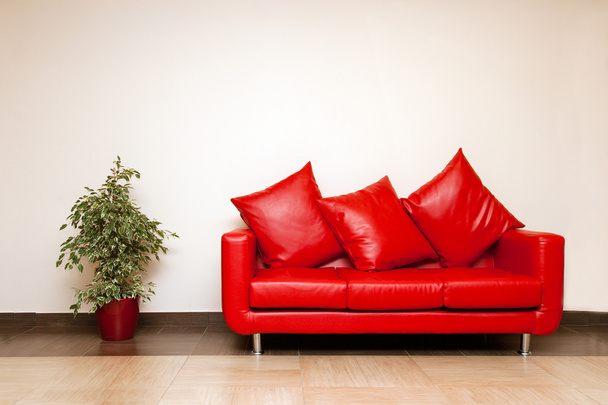 Red leather sofa with pillow with plant near - Фото, зображення