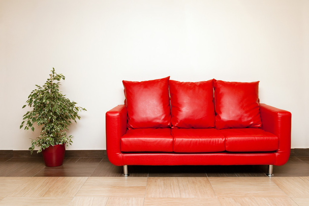 Red leather sofa with pillow and plant - Фото, зображення