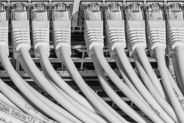 cables de red conectados al conmutador - Foto, Imagen