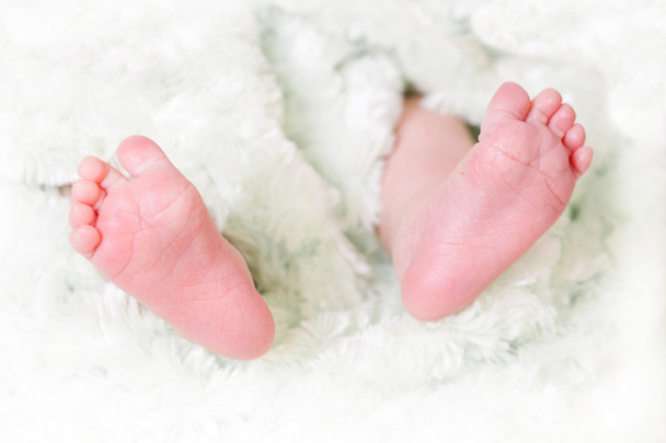 Close up of baby feet - Photo, image