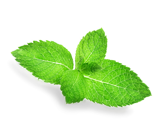 Mint leaves isolated on white background - Photo, Image